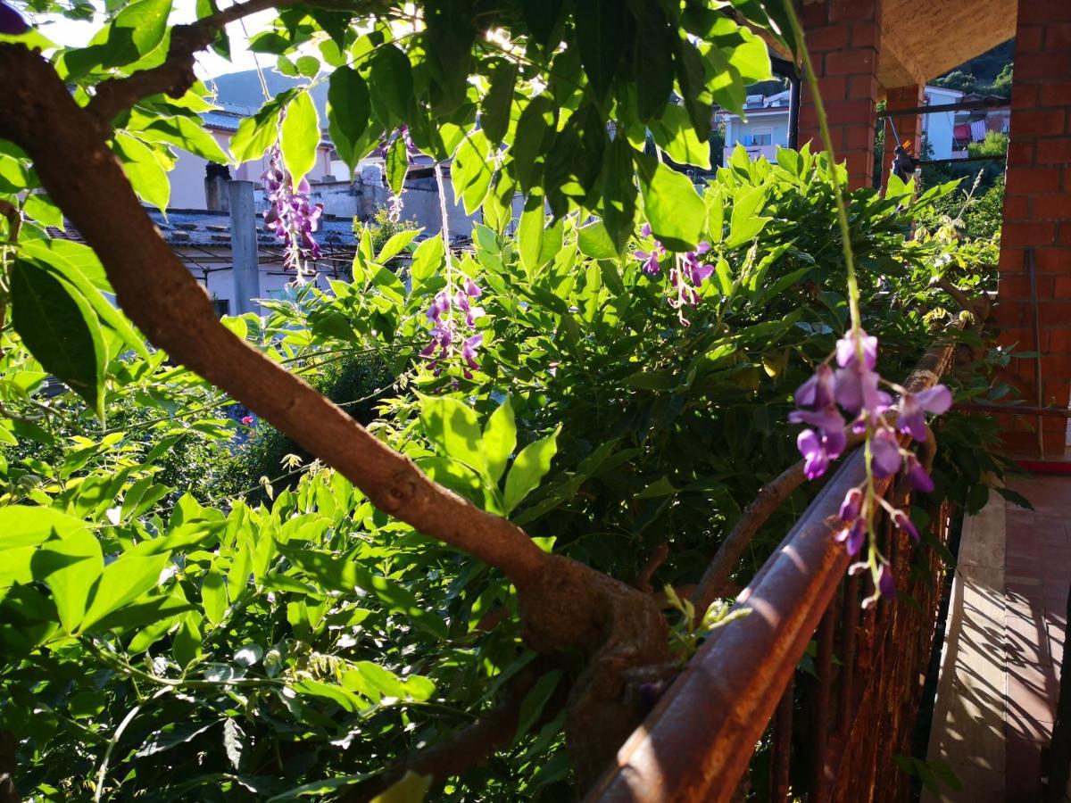 Zia Chiarina Acomodação com café da manhã San Nicolo Gerrei Exterior foto