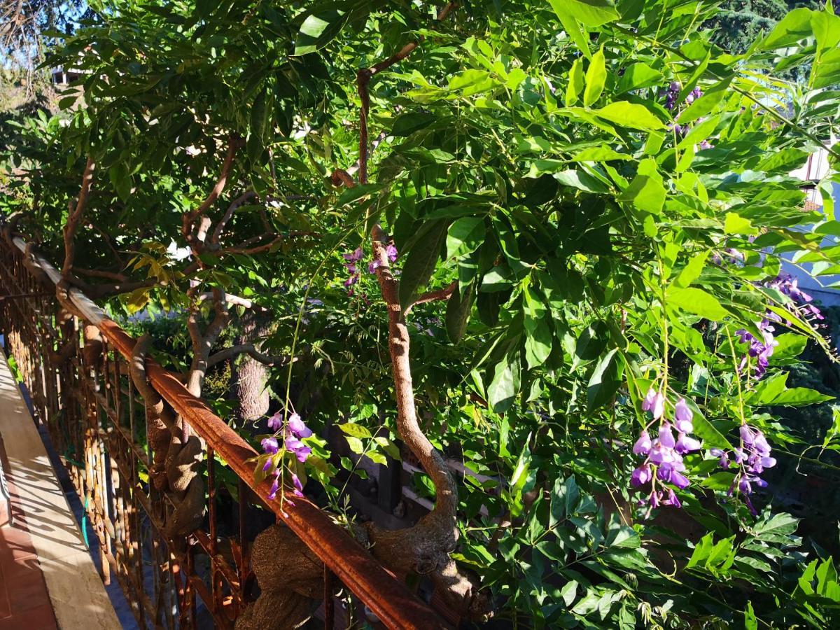 Zia Chiarina Acomodação com café da manhã San Nicolo Gerrei Exterior foto