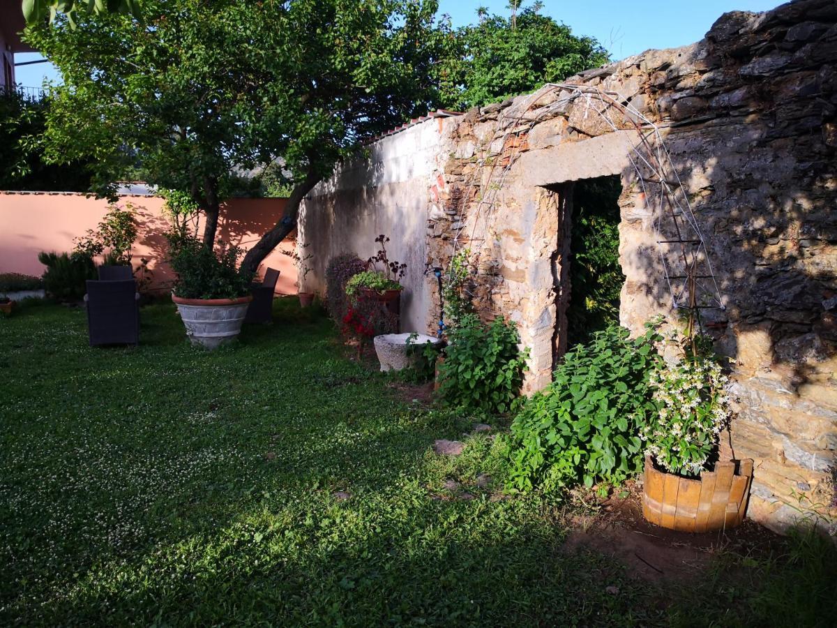Zia Chiarina Acomodação com café da manhã San Nicolo Gerrei Exterior foto