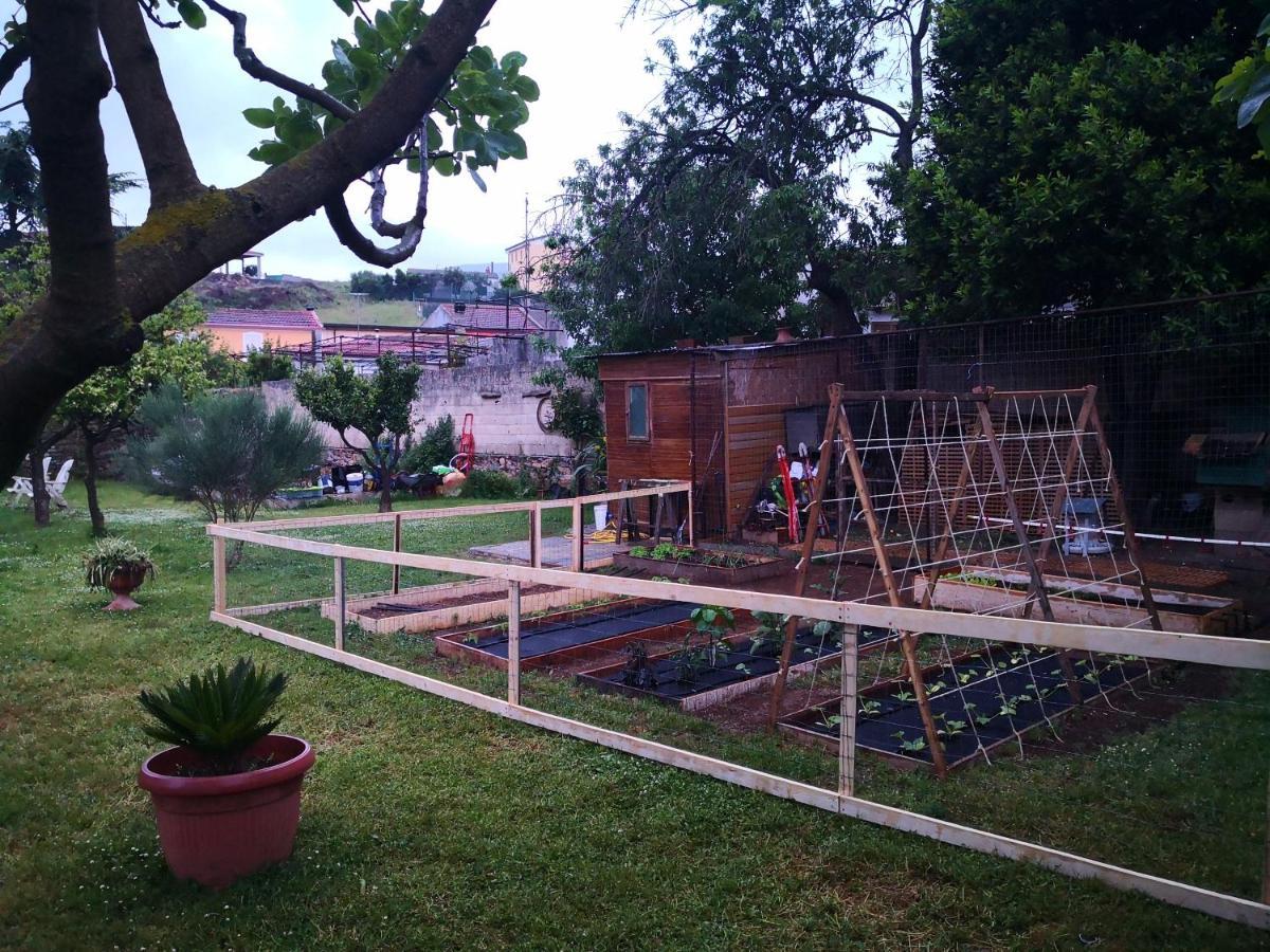 Zia Chiarina Acomodação com café da manhã San Nicolo Gerrei Exterior foto
