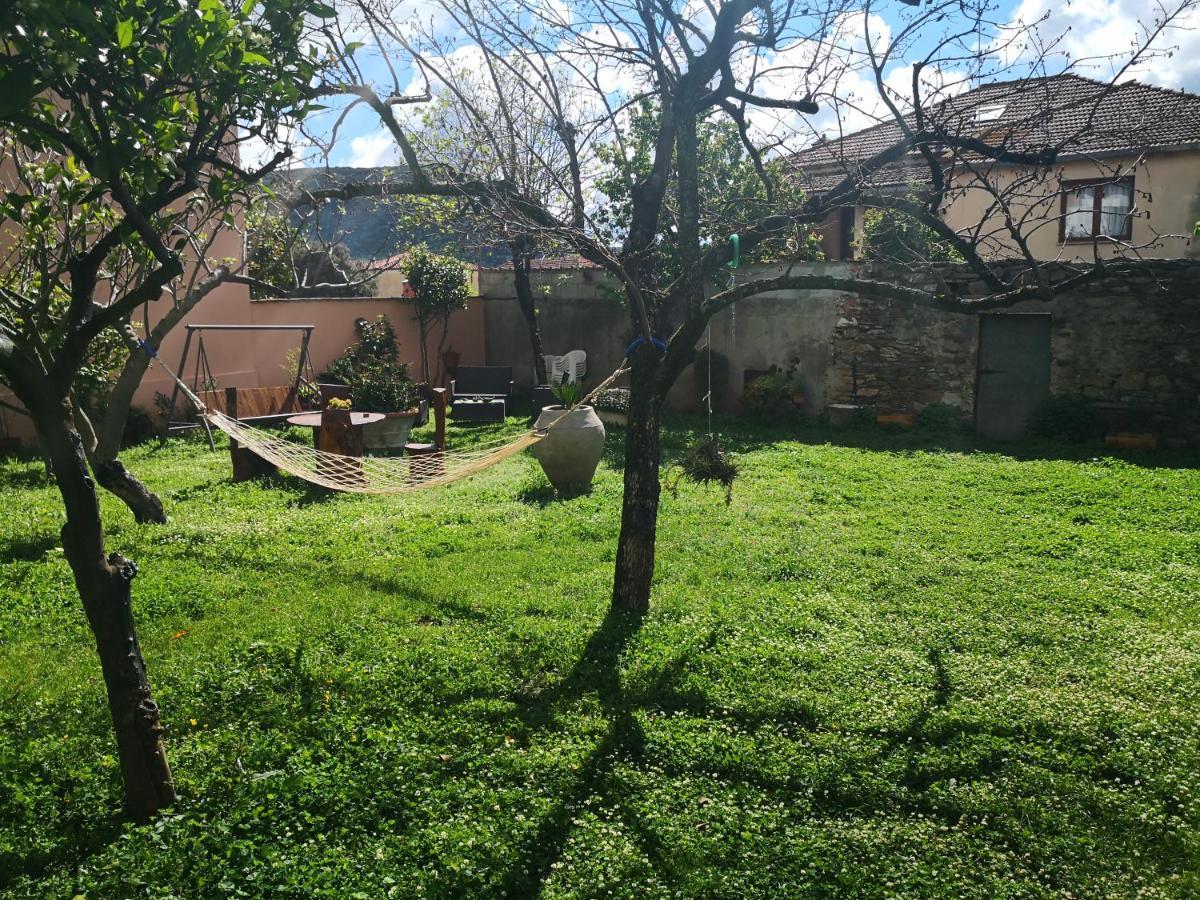 Zia Chiarina Acomodação com café da manhã San Nicolo Gerrei Exterior foto