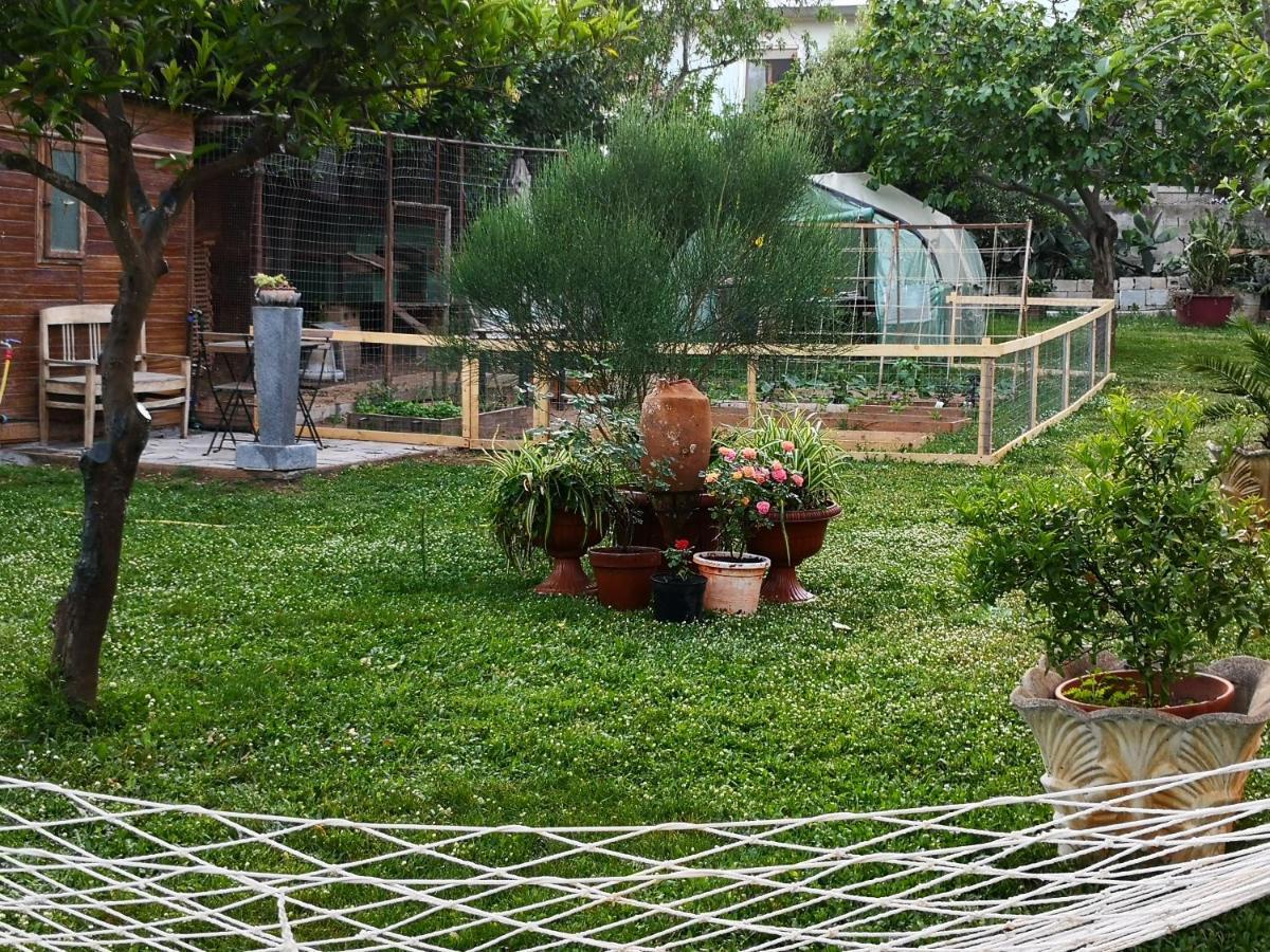 Zia Chiarina Acomodação com café da manhã San Nicolo Gerrei Exterior foto