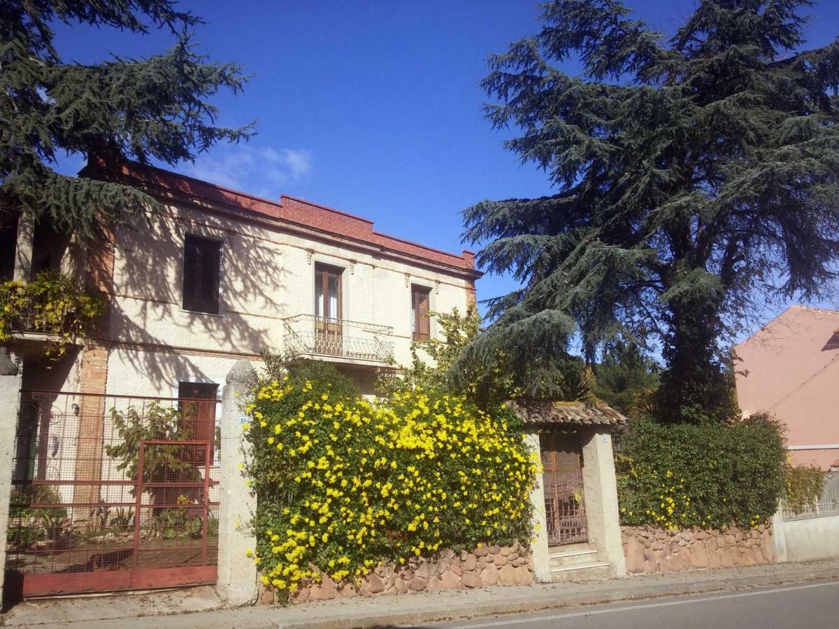 Zia Chiarina Acomodação com café da manhã San Nicolo Gerrei Exterior foto