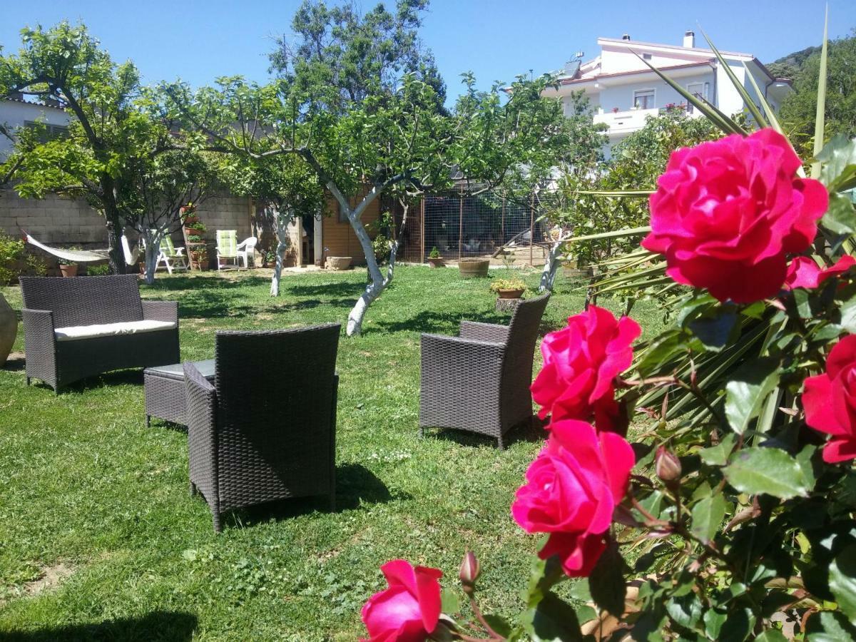 Zia Chiarina Acomodação com café da manhã San Nicolo Gerrei Exterior foto
