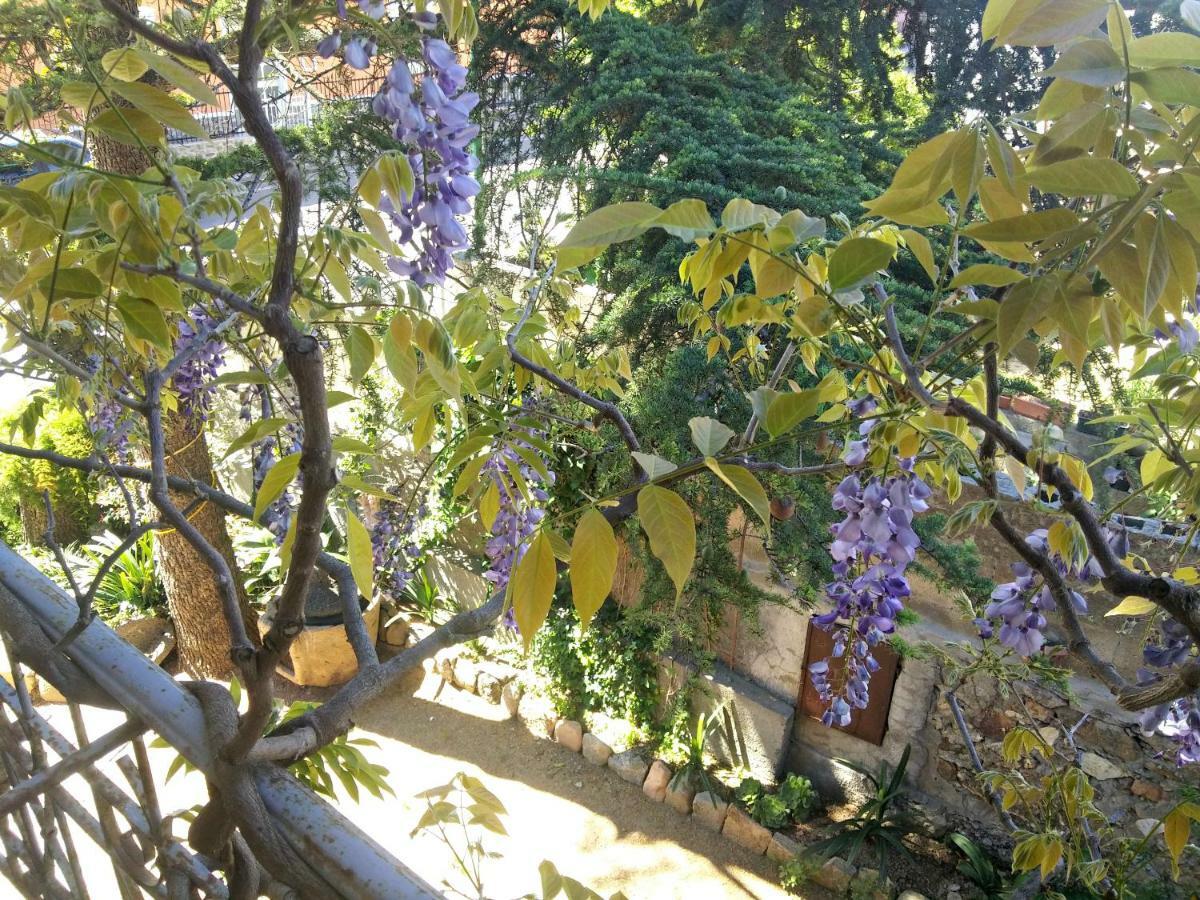 Zia Chiarina Acomodação com café da manhã San Nicolo Gerrei Exterior foto