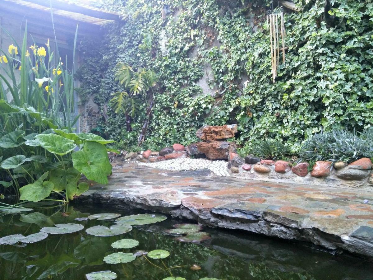 Zia Chiarina Acomodação com café da manhã San Nicolo Gerrei Exterior foto