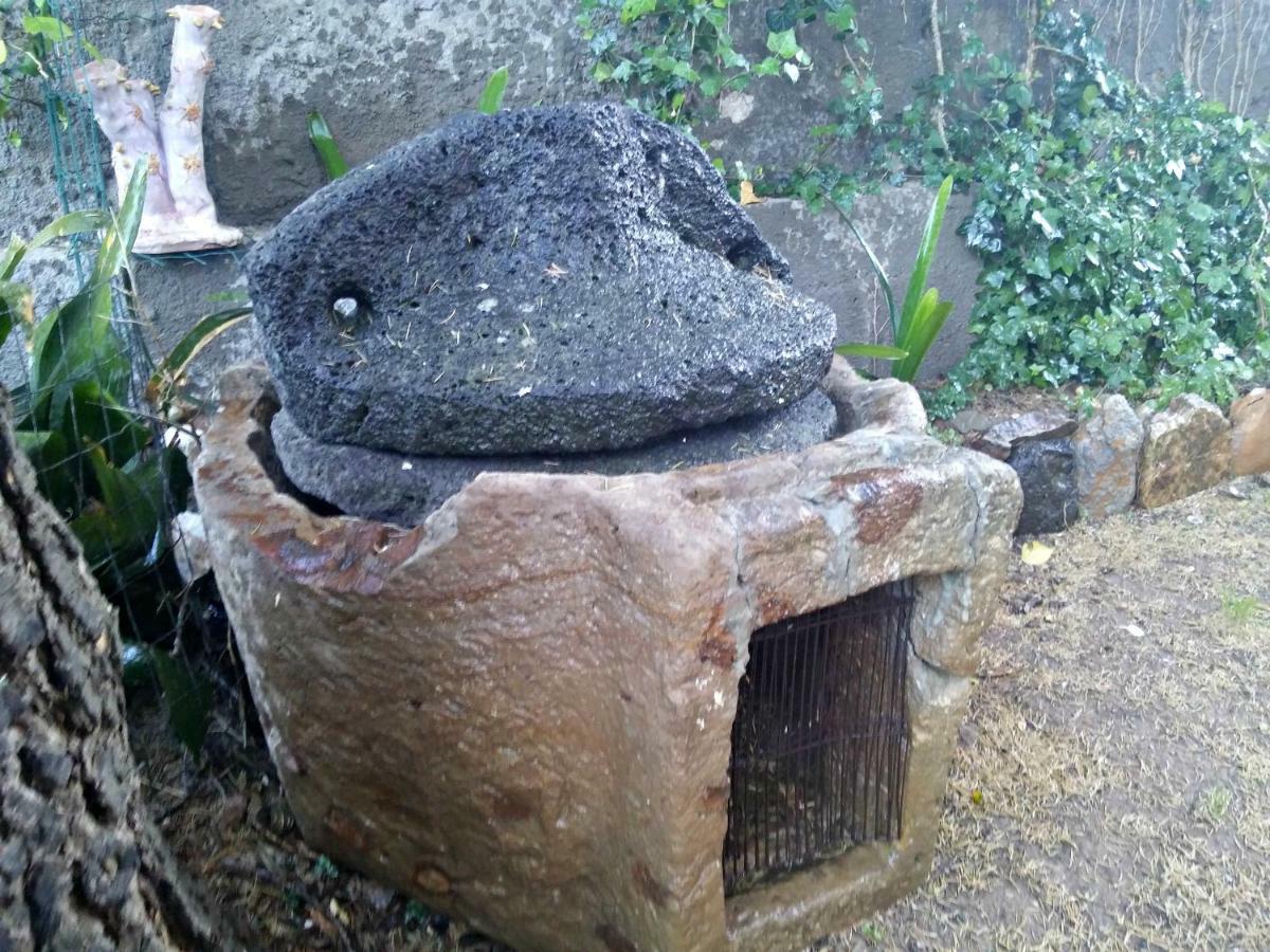 Zia Chiarina Acomodação com café da manhã San Nicolo Gerrei Exterior foto