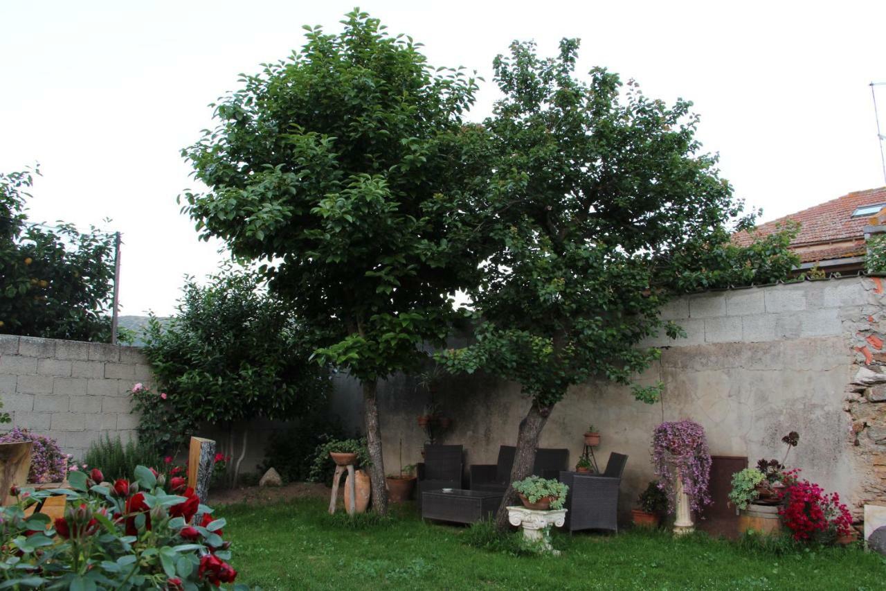 Zia Chiarina Acomodação com café da manhã San Nicolo Gerrei Exterior foto